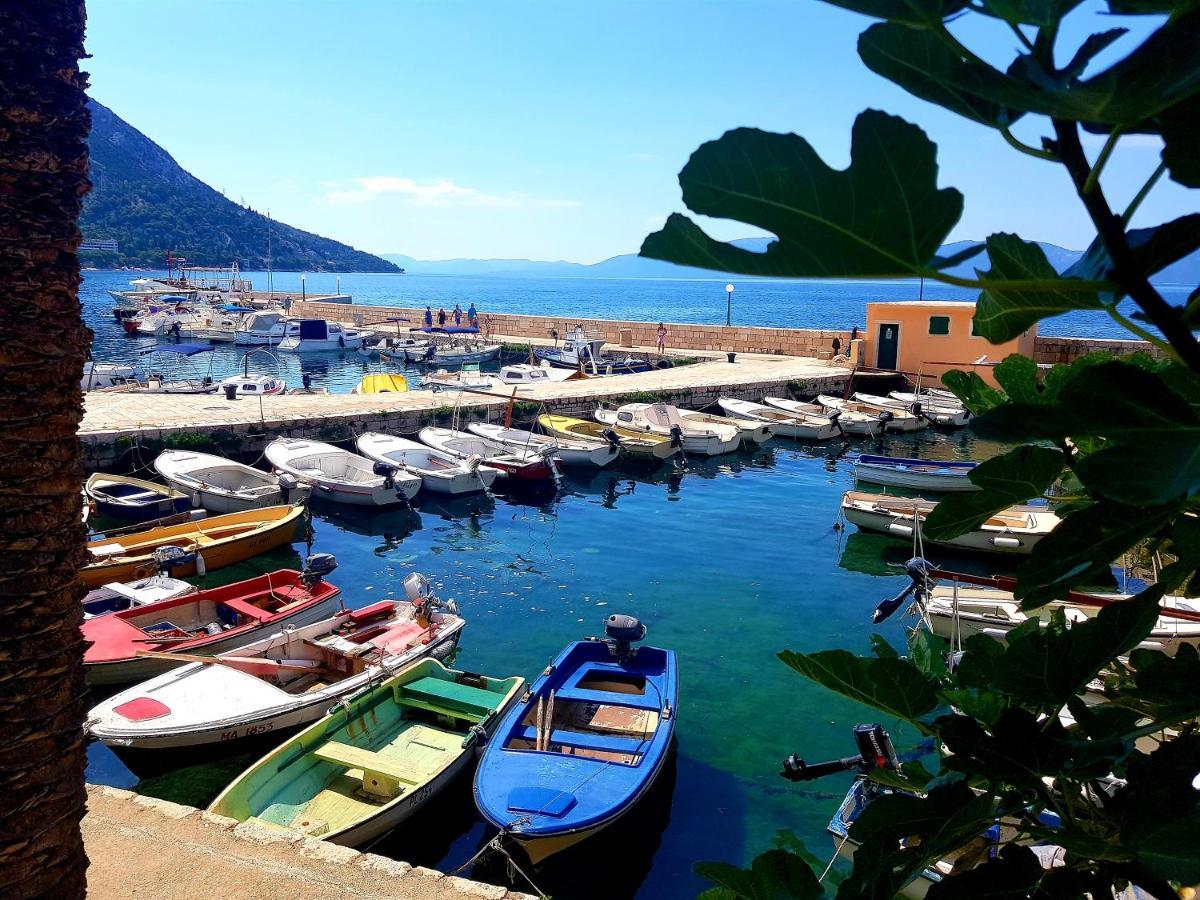 Apartament Roso Gradac  Zewnętrze zdjęcie