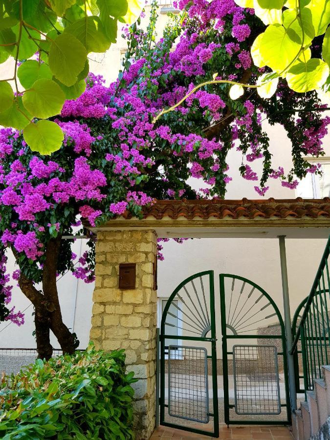 Apartament Roso Gradac  Zewnętrze zdjęcie